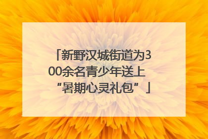 新野汉城街道为300余名青少年送上“暑期心灵礼包”