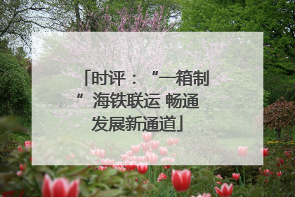 时评：“一箱制”海铁联运 畅通发展新通道