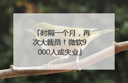时隔一个月，再次大裁员！微软9000人或失业
