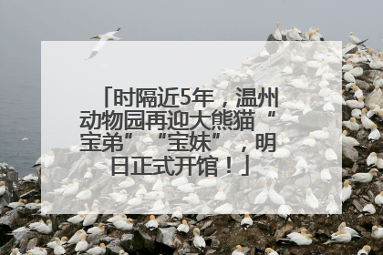 时隔近5年，温州动物园再迎大熊猫“宝弟”“宝妹”，明日正式开馆！