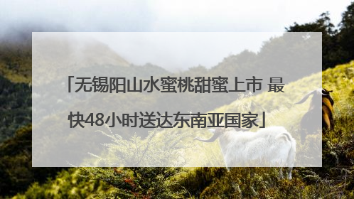 无锡阳山水蜜桃甜蜜上市 最快48小时送达东南亚国家
