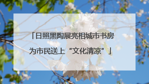 日照黑陶展亮相城市书房 为市民送上“文化清凉”