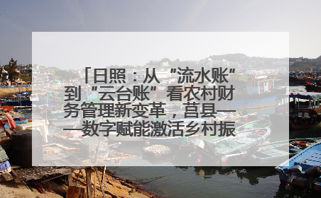 日照：从“流水账”到“云台账”看农村财务管理新变革，莒县——数字赋能激活乡村振兴“一池春水”