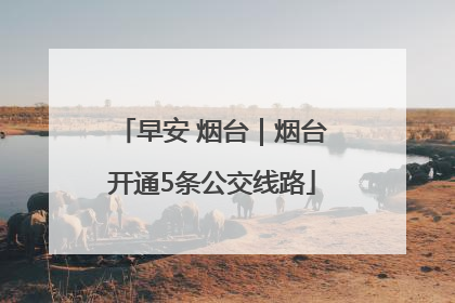 早安 烟台｜烟台开通5条公交线路