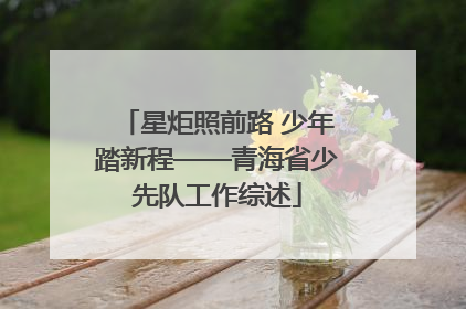 星炬照前路 少年踏新程——青海省少先队工作综述