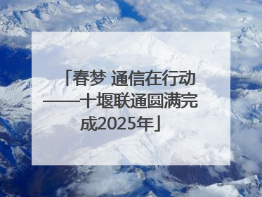 春梦 通信在行动——十堰联通圆满完成2025年