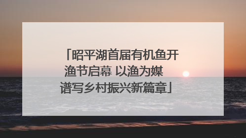 昭平湖首届有机鱼开渔节启幕 以渔为媒 谱写乡村振兴新篇章