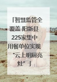 智慧监管全覆盖 阳新县225家集中用餐单位实现“云上明厨亮灶”