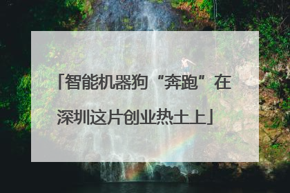 智能机器狗“奔跑”在深圳这片创业热土上
