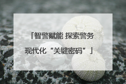 智警赋能 探索警务现代化“关键密码”