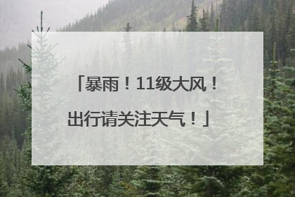 暴雨！11级大风！出行请关注天气！