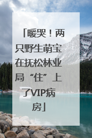 暖哭！两只野生萌宝在抚松林业局“住”上了VIP病房