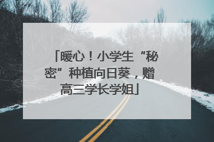 暖心！小学生“秘密”种植向日葵，赠高三学长学姐