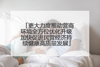 更大力度推动营商环境全方位优化升级加快促进民营经济持续健康高质量发展