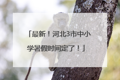最新！河北3市中小学暑假时间定了！