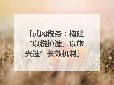 武冈税务：构建“以税护遗、以旅兴遗”长效机制
