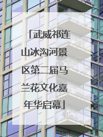 武威祁连山冰沟河景区第二届马兰花文化嘉年华启幕