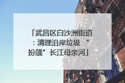 武昌区白沙洲街道：清理沿岸垃圾 “扮靓”长江母亲河
