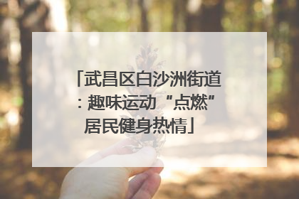 武昌区白沙洲街道：趣味运动“点燃”居民健身热情