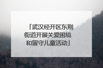 武汉经开区东荆街道开展关爱困境和留守儿童活动