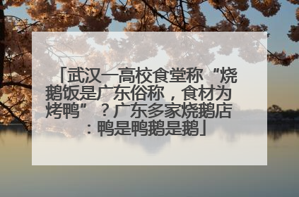 武汉一高校食堂称“烧鹅饭是广东俗称，食材为烤鸭”？广东多家烧鹅店：鸭是鸭鹅是鹅