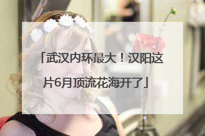 武汉内环最大！汉阳这片6月顶流花海开了