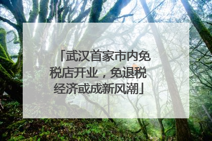 武汉首家市内免税店开业，免退税经济或成新风潮