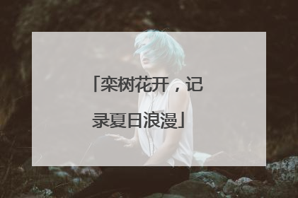 栾树花开，记录夏日浪漫