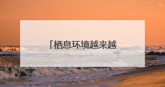 栖息环境越来越好 多种夏候鸟陆续来厦恋爱生娃