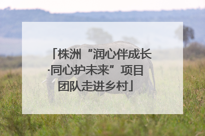 株洲“润心伴成长·同心护未来”项目团队走进乡村