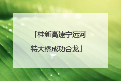桂新高速宁远河特大桥成功合龙