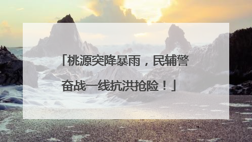桃源突降暴雨，民辅警奋战一线抗洪抢险！