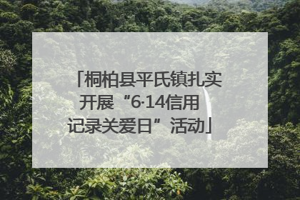 桐柏县平氏镇扎实开展“6·14信用记录关爱日”活动