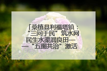 桑植县利福塔镇：“三问于民”筑水网 民生水渠润良田——“五图共治”激活基层治理新动能