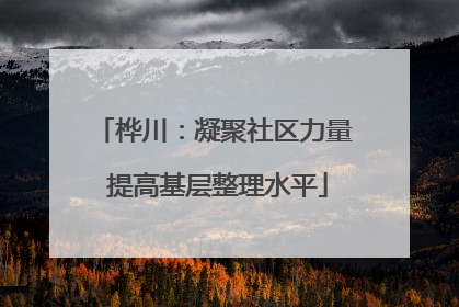 桦川：凝聚社区力量 提高基层整理水平