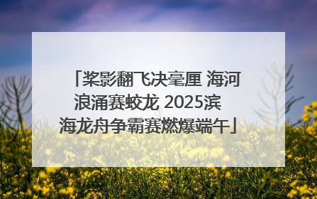 桨影翻飞决毫厘 海河浪涌赛蛟龙 2025滨海龙舟争霸赛燃爆端午