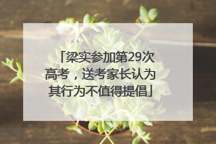 梁实参加第29次高考，送考家长认为其行为不值得提倡