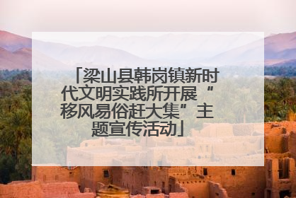 梁山县韩岗镇新时代文明实践所开展“移风易俗赶大集”主题宣传活动