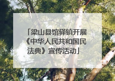 梁山县馆驿镇开展《中华人民共和国民法典》宣传活动