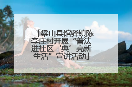 梁山县馆驿镇陈李庄村开展“普法进社区‘典’亮新生活”宣讲活动