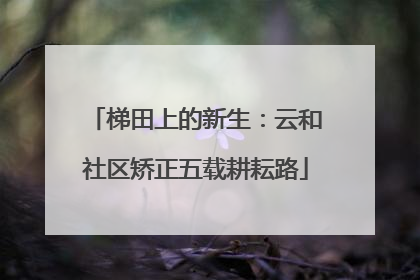 梯田上的新生：云和社区矫正五载耕耘路