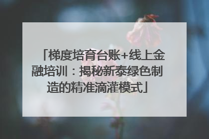 梯度培育台账+线上金融培训：揭秘新泰绿色制造的精准滴灌模式