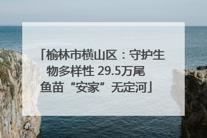 榆林市横山区：守护生物多样性 29.5万尾鱼苗“安家”无定河