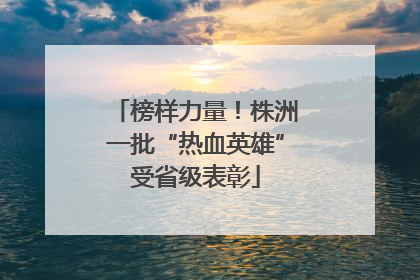 榜样力量！株洲一批“热血英雄”受省级表彰