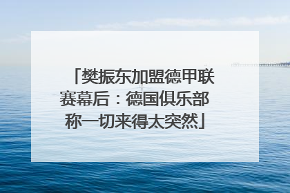 樊振东加盟德甲联赛幕后：德国俱乐部称一切来得太突然
