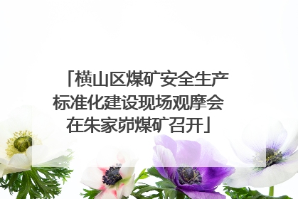横山区煤矿安全生产标准化建设现场观摩会在朱家峁煤矿召开