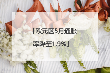 欧元区5月通胀率降至1.9%
