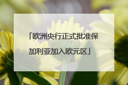 欧洲央行正式批准保加利亚加入欧元区