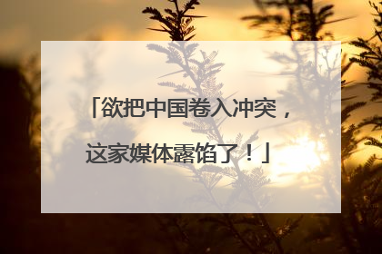 欲把中国卷入冲突，这家媒体露馅了！