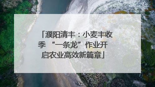 濮阳清丰：小麦丰收季 “一条龙”作业开启农业高效新篇章